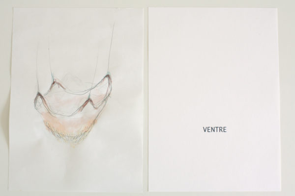 ventre